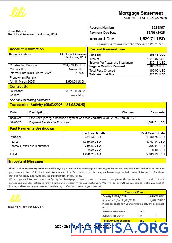 Printable USA Lili bank mortgage statement in Word and PDF formats real example